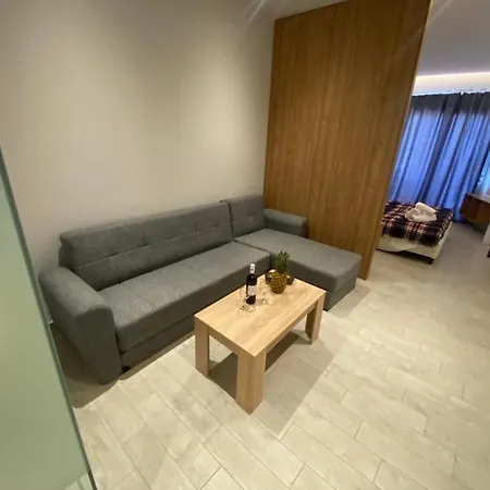 Apartment Stegna Premium *